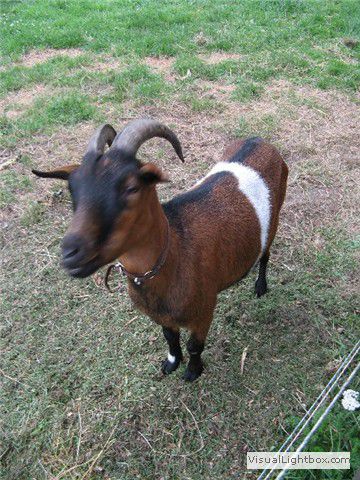 galerie_0030_013_img_5468-fdfb4425