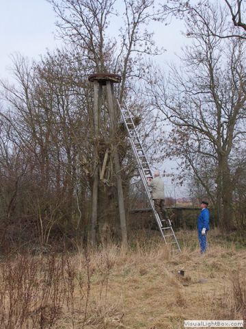 galerie_0037_006_100_9928-a8b952b4