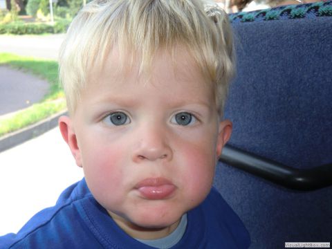 galerie_0048_011_cimg0746-c1660f2f