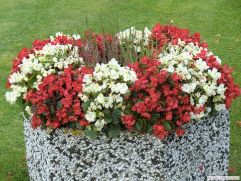 galerie_0058_cimg1103-93308aa3