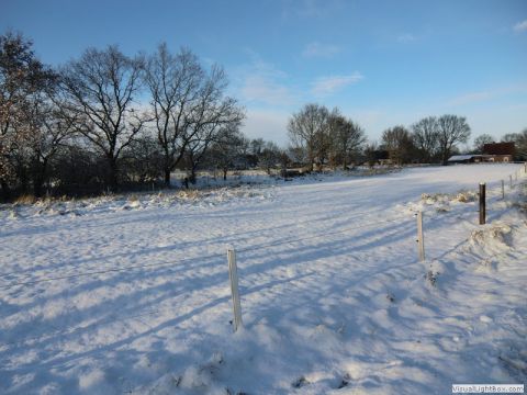 Winter-Impressionen 2012