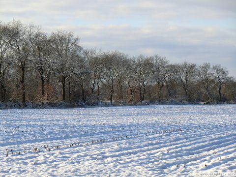 galerie_0059_cimg1574-fbce89ad