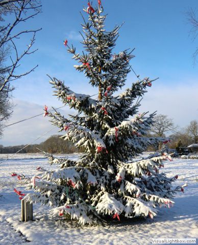 galerie_0059_cimg1576-1-40ae36a4