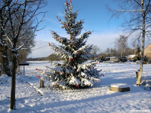 galerie_0059_cimg1576-7203ffa0