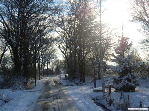 galerie_0059_cimg1580-f73eb6d3