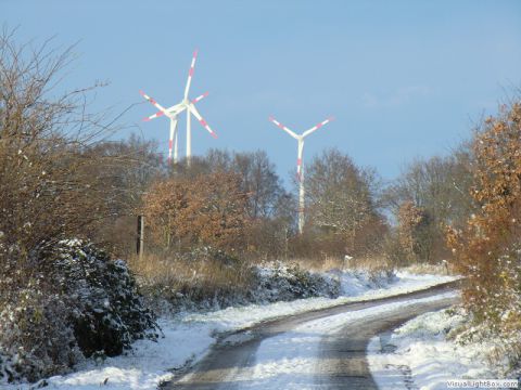 galerie_0059_cimg1590-8d708736