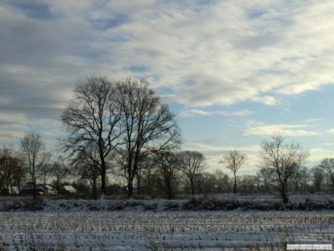 galerie_0059_cimg1595-3647b427