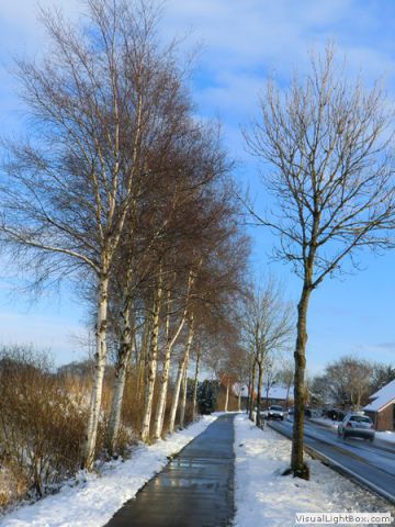 galerie_0059_cimg1599-d3afbf4d