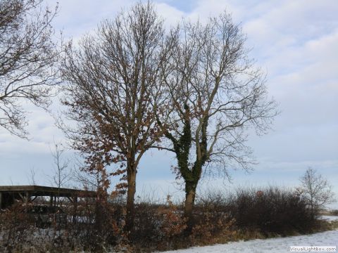 galerie_0059_cimg1603-d1baa138