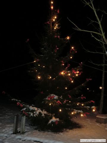 galerie_0059_cimg1606-2a76ab11