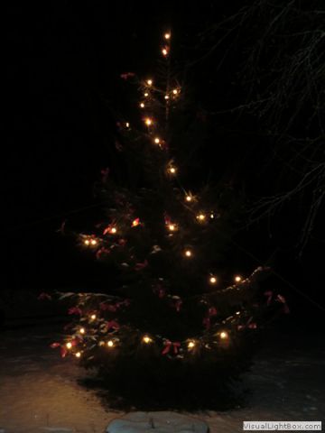 galerie_0059_cimg1611-b630991d