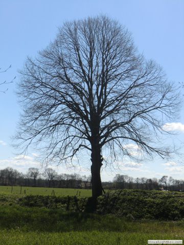 galerie_0112_cimg4186-e3da4eac