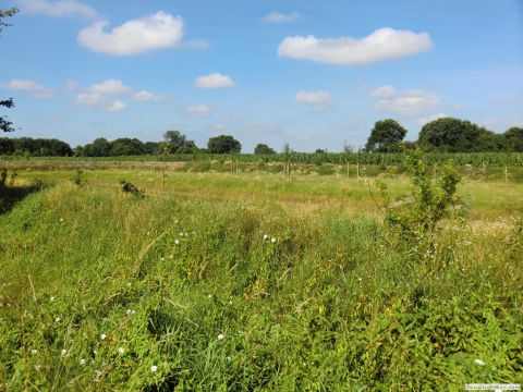 galerie_0120_cimg6381-45a09b64