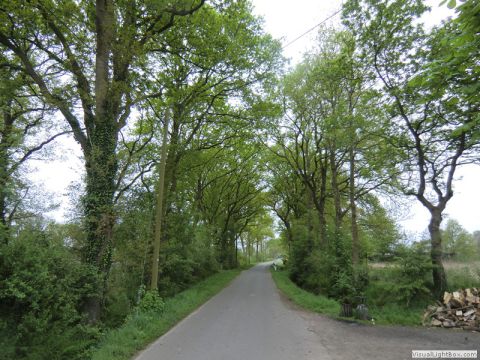 galerie_cimg2858-9cc82be8