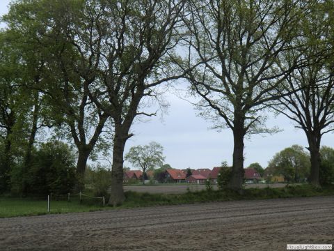 galerie_cimg2861-209cf055